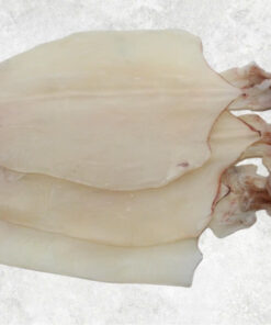 dried-loligo-squid