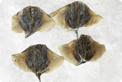 Dried Moon Fish