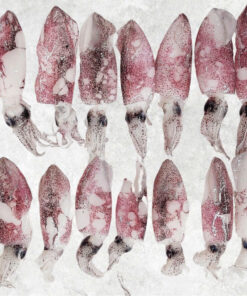 frozen-whole-clean-baby-loligo-squid