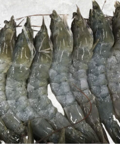 frozen-raw-hoso-body-peel-vannamei-shrimp