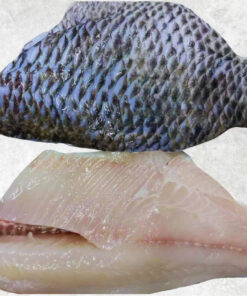 frozen-black-tilapia-fillet-skin-on