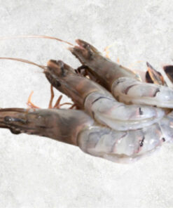 frozen-raw-hoso-butterfly-black-tiger-shrimp