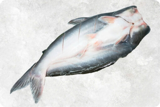 Frozen Butterfly Pangasius (Swai Fish)