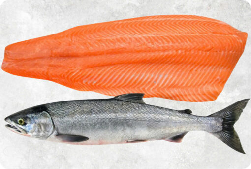 Frozen Chum Salmon