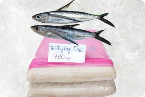 1-frozen-flying-surimi-supplier-exporter-vietnam.jpg Frozen Flying Fish Surimi (Frozen Tobiuo Surimi)