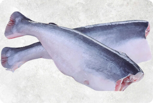 Frozen Hgt Pangasius (Swai Fish)