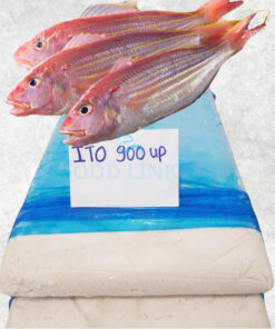 frozen-itoyori-surimi