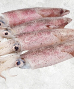 frozen-whole-clean-loligo-squid