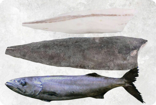 Frozen Oil Fish Fillet Skin On And Skinless