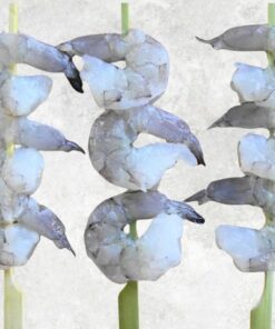frozen-raw-pd-and-pdto-skewer-vannamei-shrimp