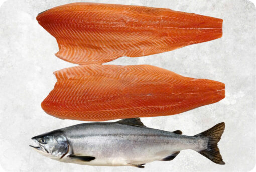 Frozen Pink Salmon