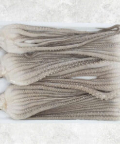 frozen-whole-clean-poulp-squid-long-leg-frozen-whole-clean-mada-long-leg-high-quality-products