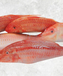 frozen-red-mullet-whole-clean-wggs