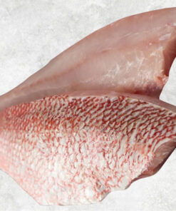 frozen-red-snapper-fillet