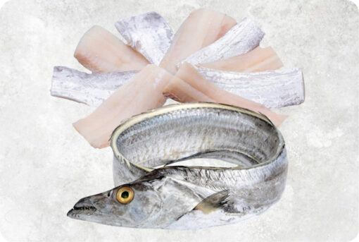 Frozen Ribbon Fish Fillet