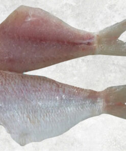 frozen-threadfin-bream-fillet