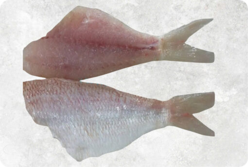 Frozen Threadfin Bream Fillet