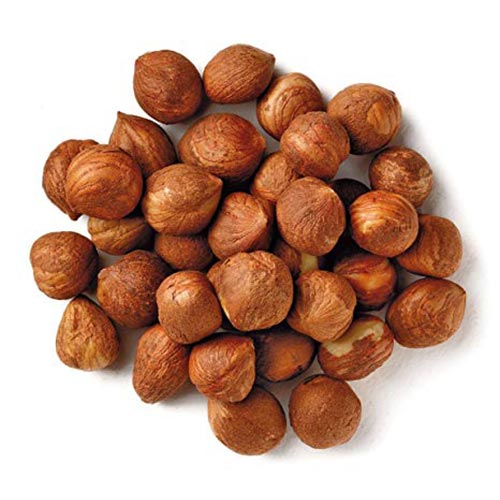 Hazel-Nut.jpg Hazel Nut