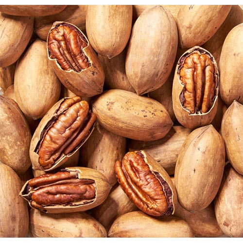 Ogbono-Nuts.jpg Ogbono Nuts