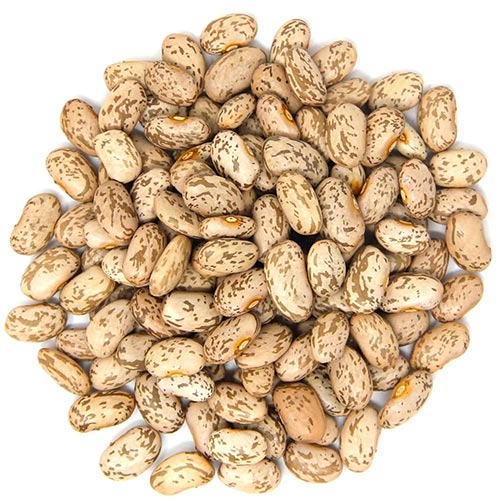 Pinto-Beans.jpg Pinto Beans