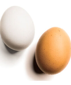 fresh-white-and-brown-eggs