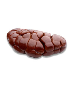 FROZEN BEEF KIDNEY