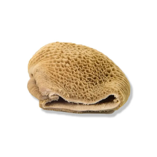 FROZEN BEEF OMASUM