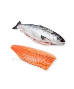 salmon-fish