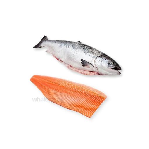 salmon-fish.jpg Salmon Fish