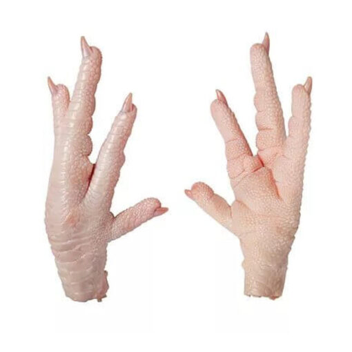 Wholesale Frozen Chicken Paws