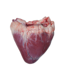 wholesale-halal-frozen-buffalo-heart